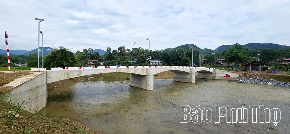 Đất rừng khơi mạch tiềm năng