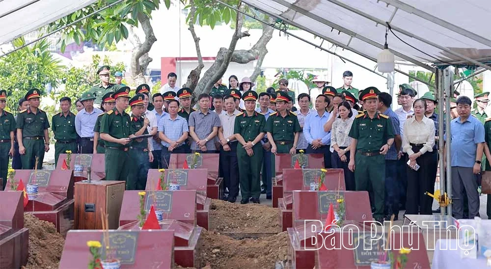 Mệnh lệnh từ trái tim
