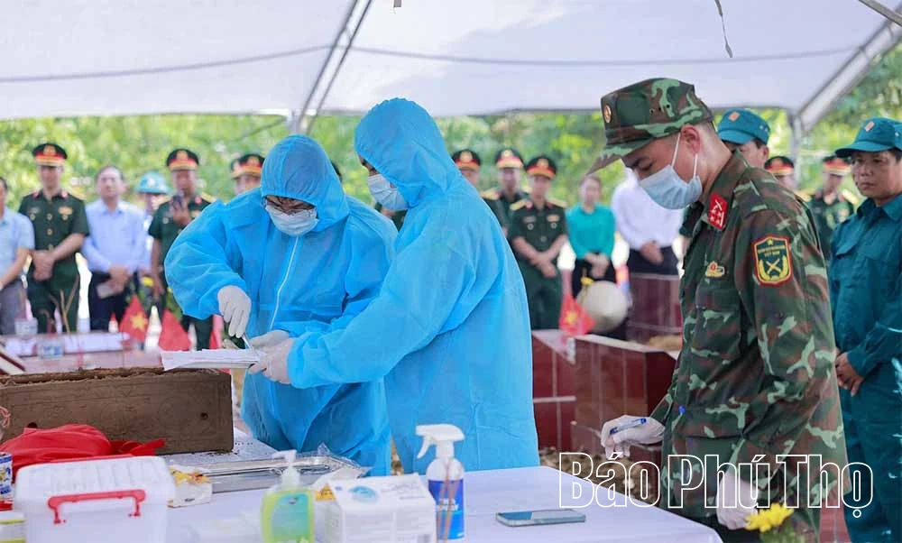 Mệnh lệnh từ trái tim