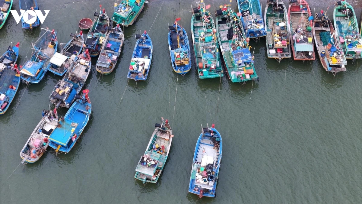 Biển Lộc An: Vẻ đẹp thanh bình của nàng tiên say giấc bên bờ đại dương