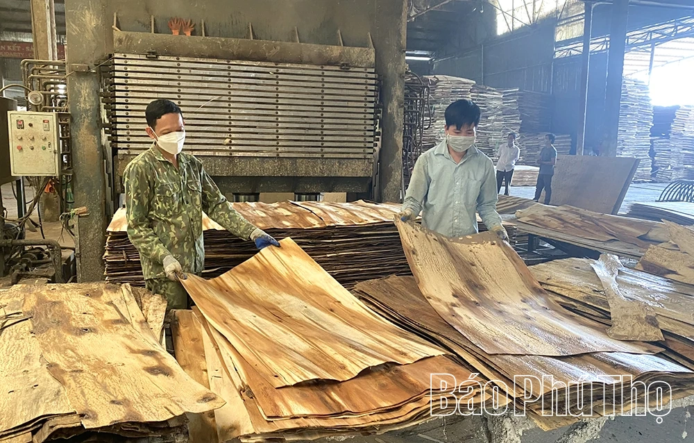 Yên Lập thúc đẩy phát triển kinh tế tư nhân