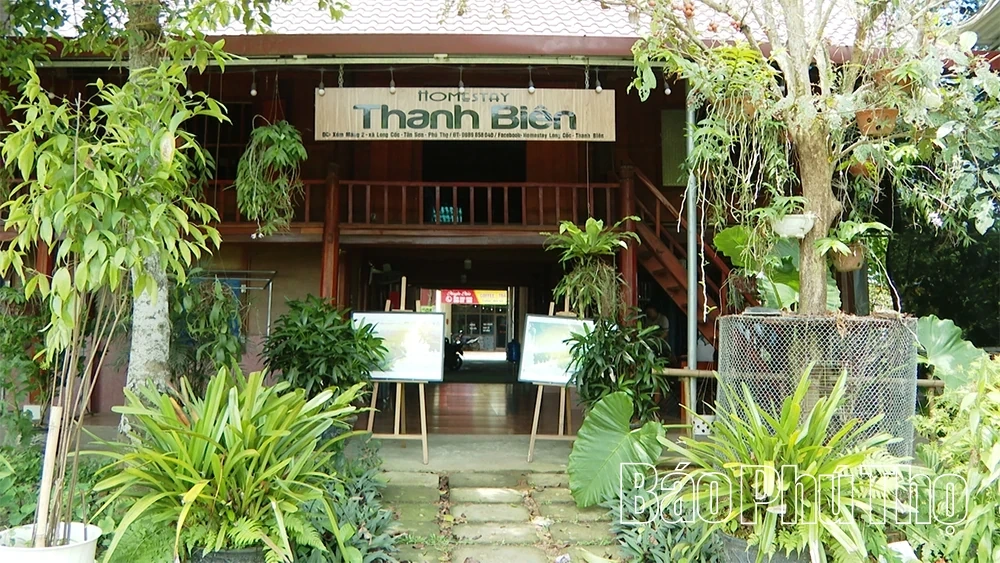 Long Coc Leverages Green Tea Portfolios to Fuel Sustainable Eco-Tourism