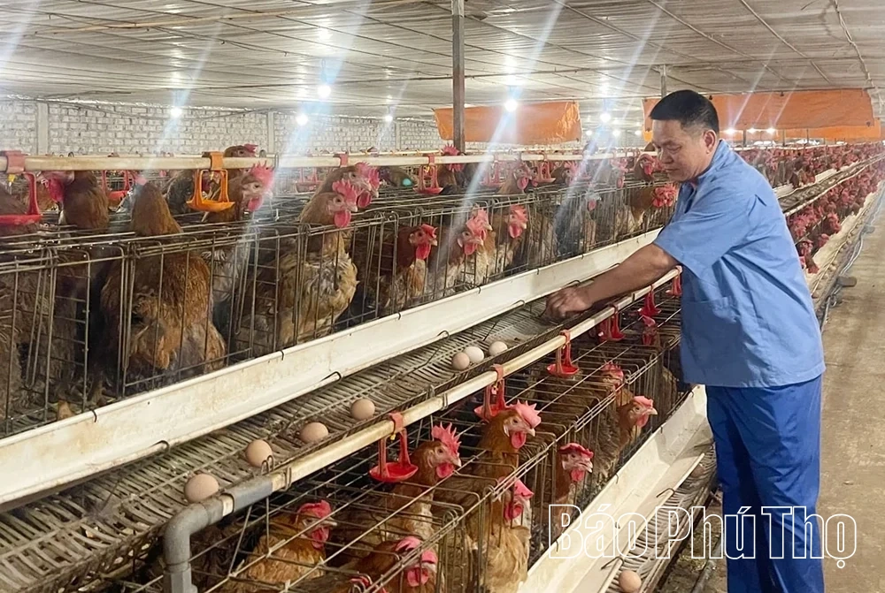 Đồng bộ các giải pháp nâng cao giá trị sản xuất nông nghiệp