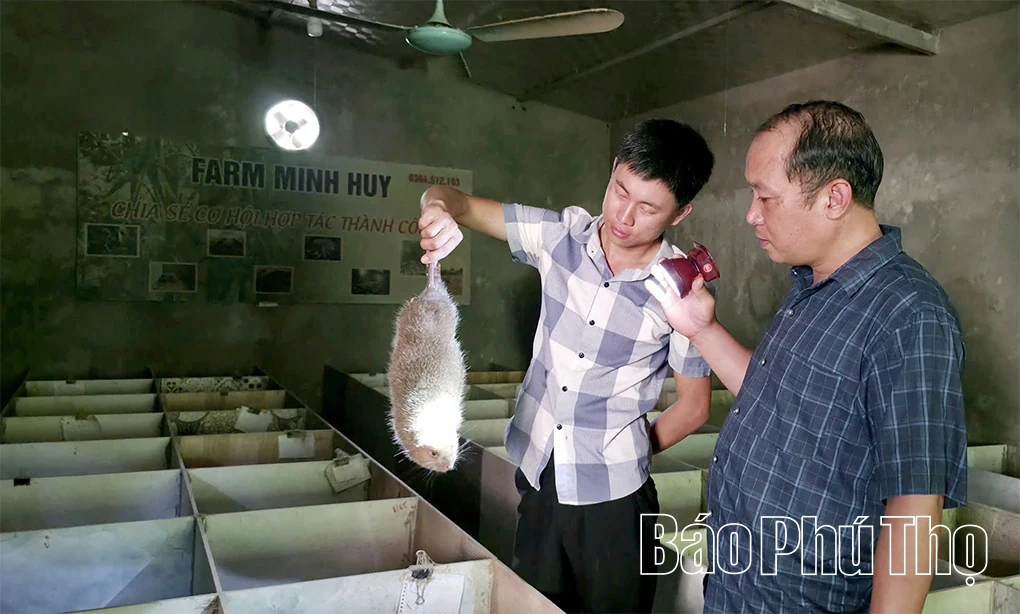 Lai Đồng nỗ lực thực hiện mục tiêu giảm nghèo