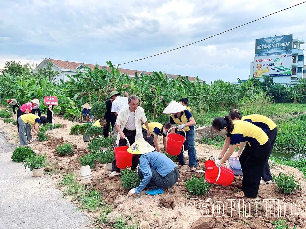 Từ bãi rác thành vườn hoa - câu chuyện đẹp về trách nhiệm với môi trường
