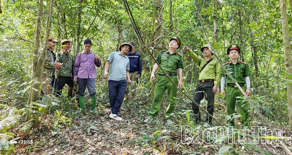 “4 tại chỗ” trong phòng cháy, chữa cháy rừng