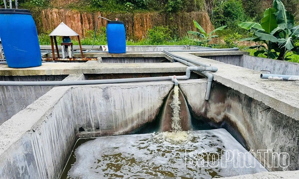 Đông Thành xử phạt doanh nghiệp chăn nuôi xả thải trái phép