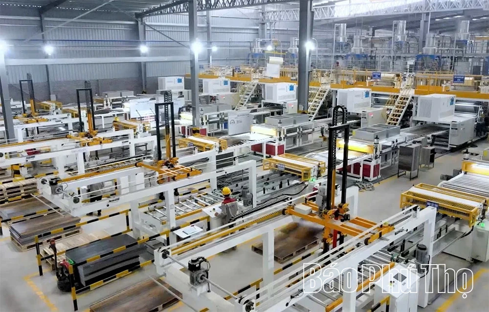 AMY GRUPO: Một thập kỷ xây nền cho những khát vọng lớn