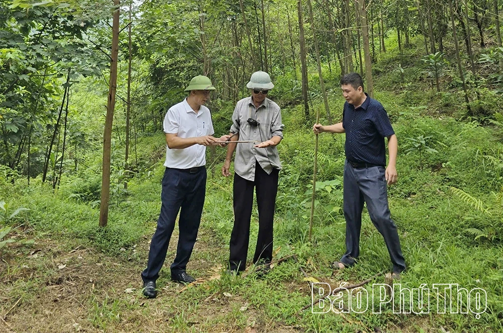 Chủ động phòng trừ sâu xanh ăn lá hại cây bồ đề