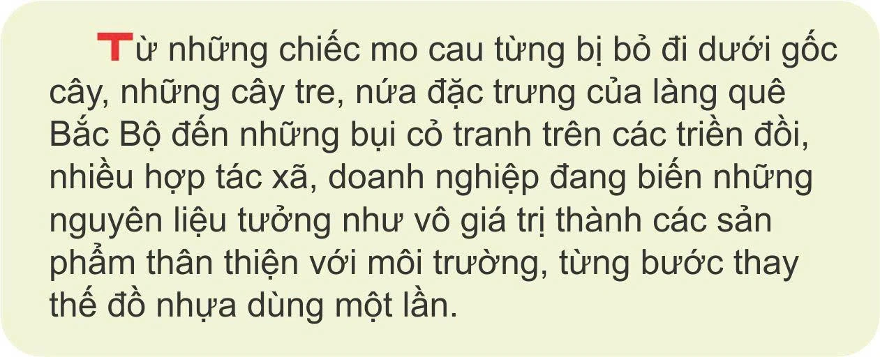 Độc đáo “sản phẩm xanh”