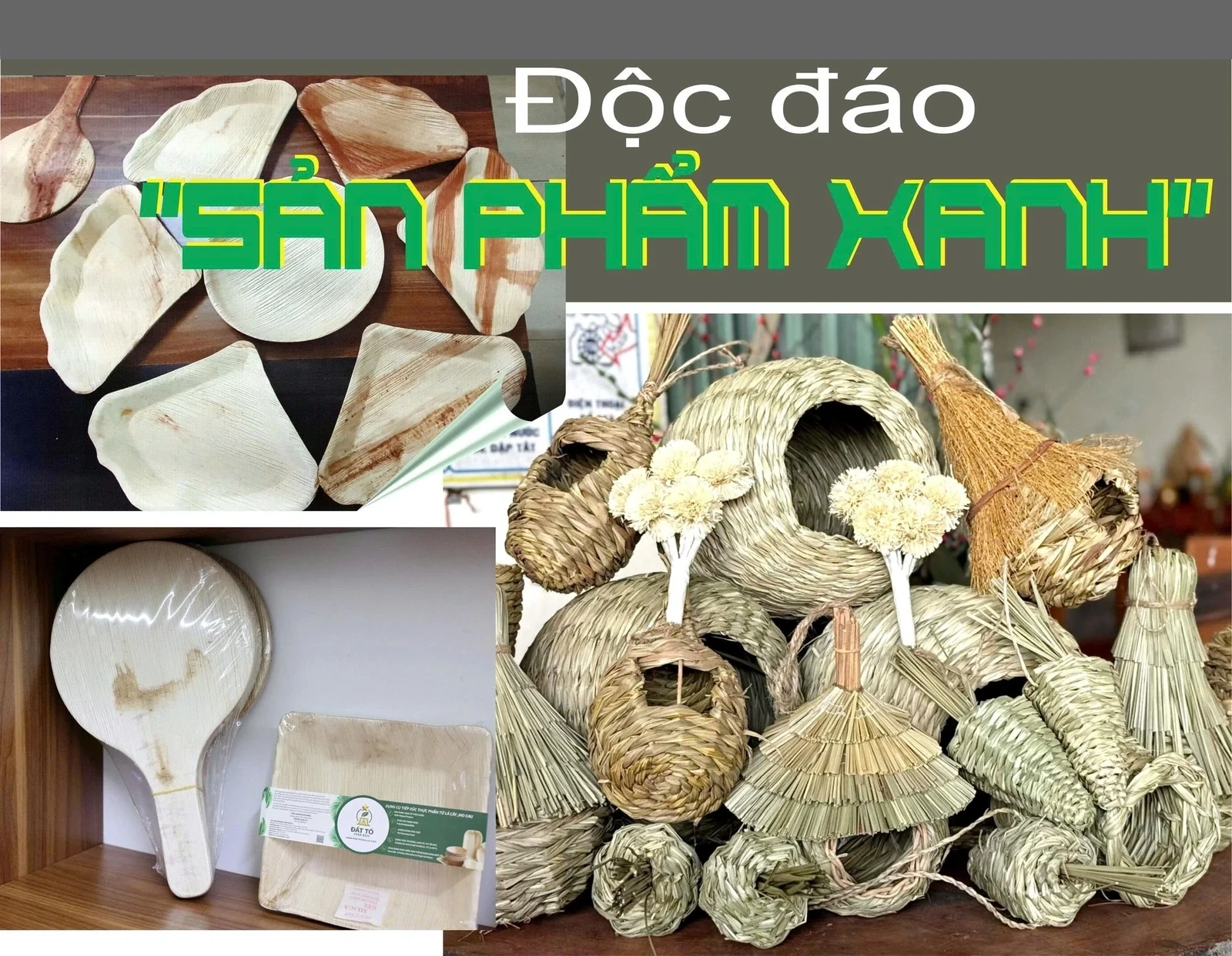 Độc đáo “sản phẩm xanh”