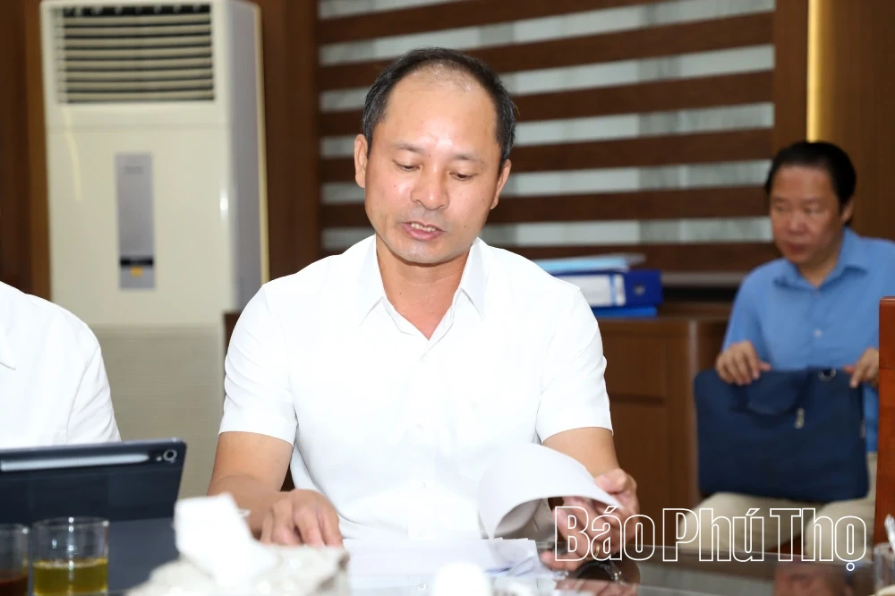 Chưa điều chỉnh dự án tại xã Tam Đảo, rà soát toàn bộ quy trình cấp phép