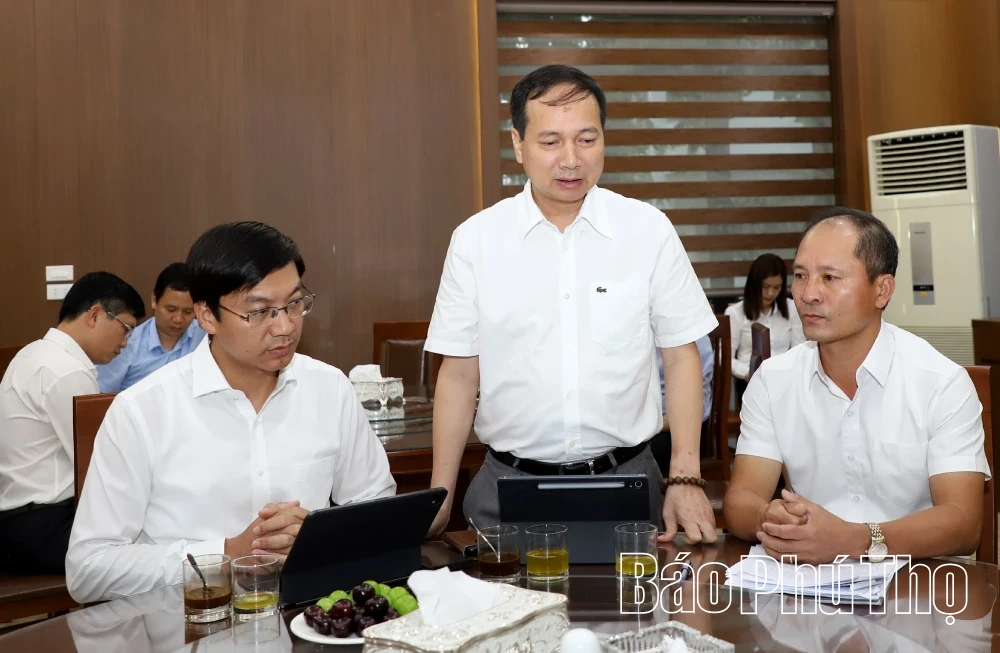 Chưa điều chỉnh dự án tại xã Tam Đảo, rà soát toàn bộ quy trình cấp phép