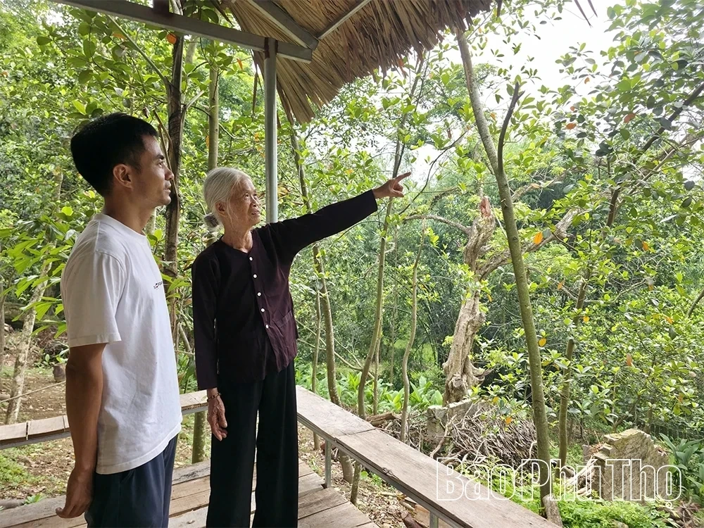 Hai Luu Stork Sanctuary: An Alluring Eco-Tourism and Experiential Destination
