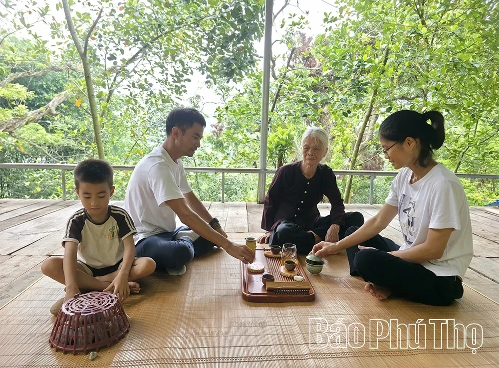 Hai Luu Stork Sanctuary: An Alluring Eco-Tourism and Experiential Destination