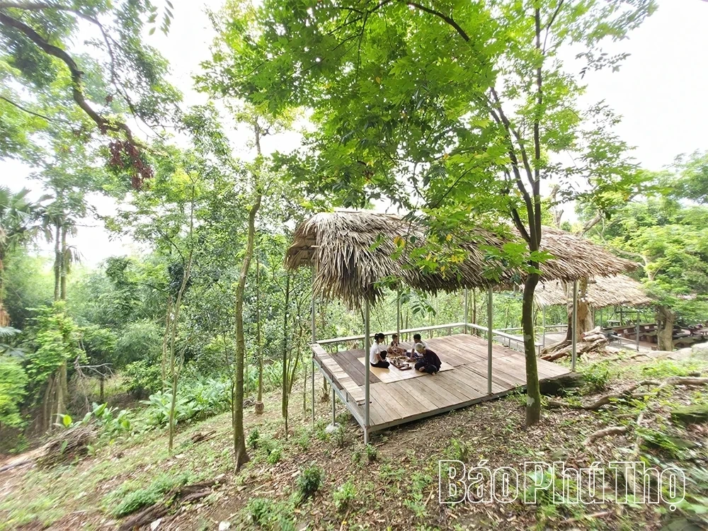 Hai Luu Stork Sanctuary: An Alluring Eco-Tourism and Experiential Destination