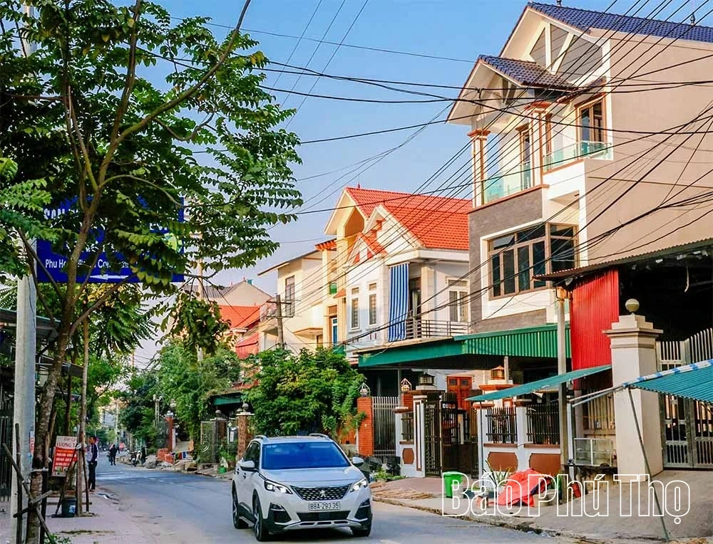 Echoes of the Shipbuilding Village in Son Dong