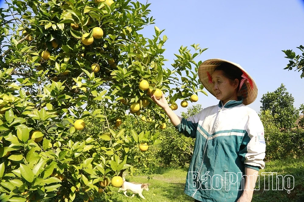 Từ đoàn kết trong Đảng đến đồng thuận trong dân