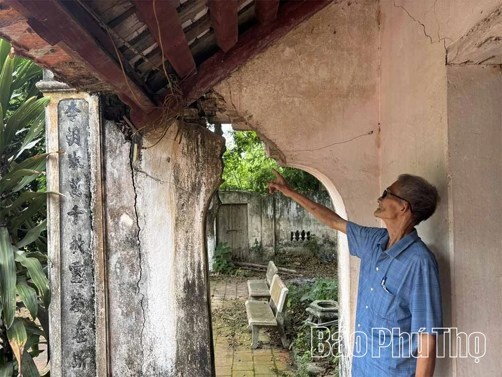 Đình Bảo Đức “kêu cứu”