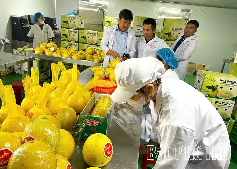 Khoa học công nghệ - “đòn bẩy” cho kinh tế tư nhân cất cánh
