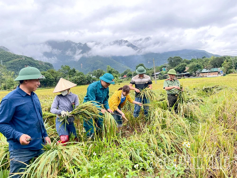 Xã Mai Châu gần dân hơn từ những việc làm cụ thể