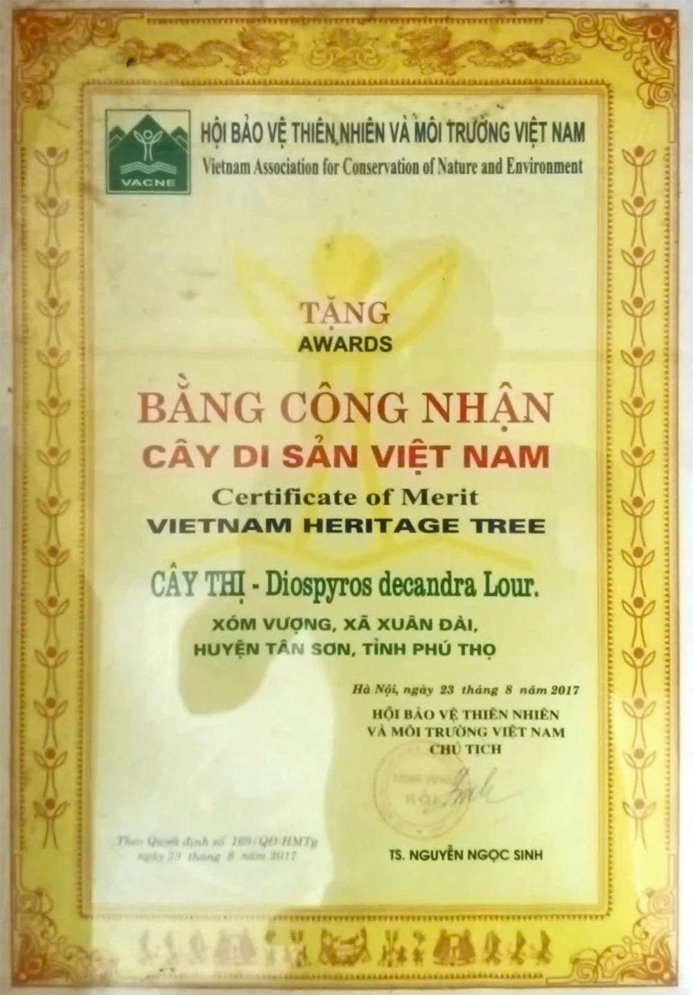 Cụ thị “ba dòng” - Báu vật của bản Mường