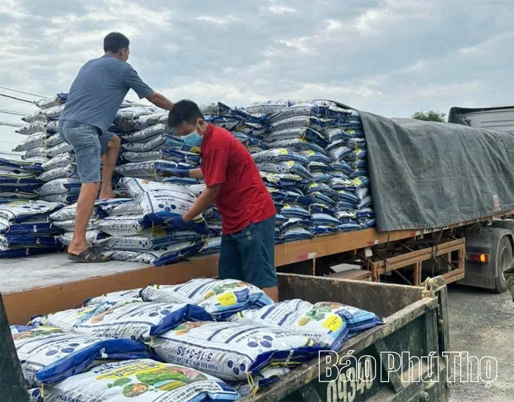 Đảm bảo vật tư cho sản xuất vụ mùa