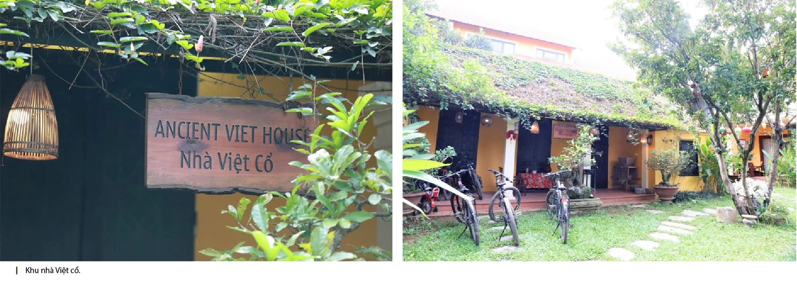Lương Sơn Retreat - Dấu ấn một năm kiến tạo điểm đến nghỉ dưỡng và trải nghiệm văn hóa Mường
