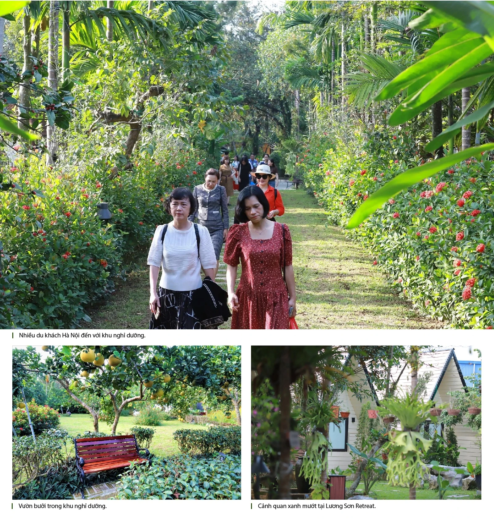 Lương Sơn Retreat - Dấu ấn một năm kiến tạo điểm đến nghỉ dưỡng và trải nghiệm văn hóa Mường