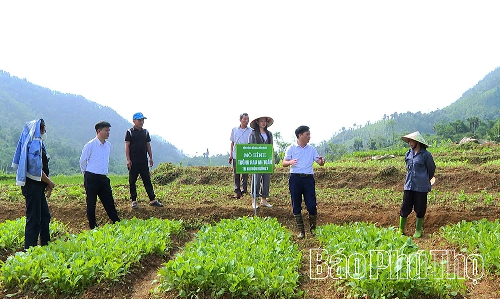 Tân Sơn trên đường đổi mới 