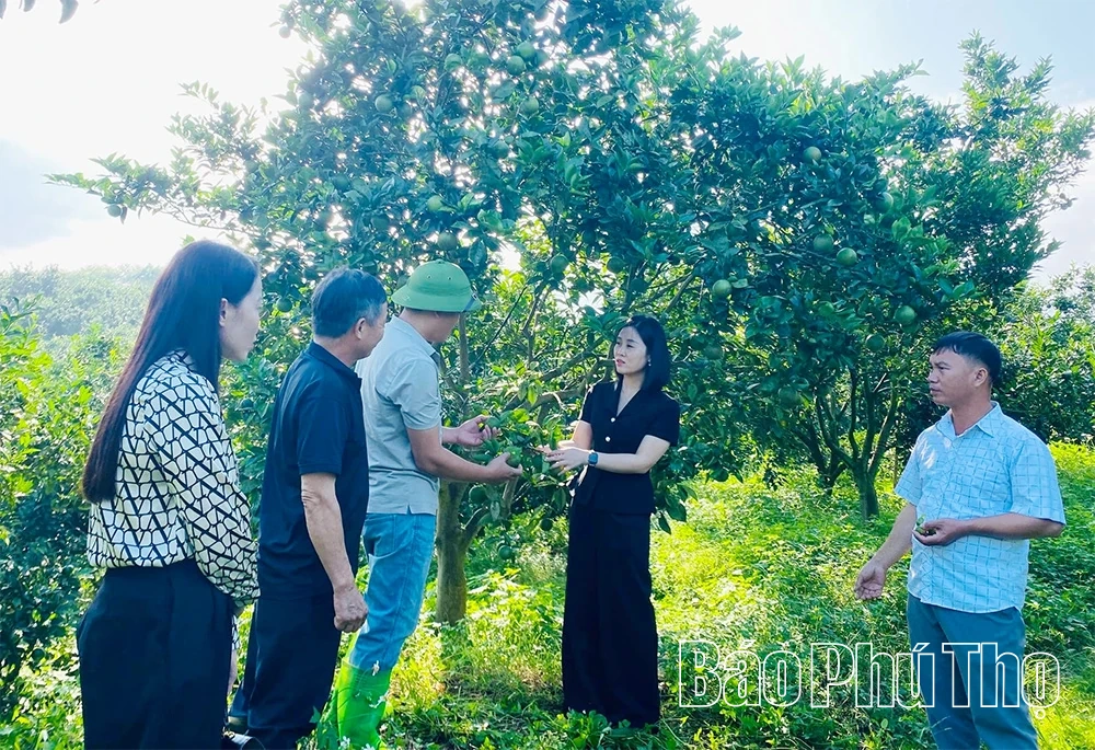 Phát triển du lịch gắn với giữ gìn bản sắc văn hóa Mường ở Lai Đồng