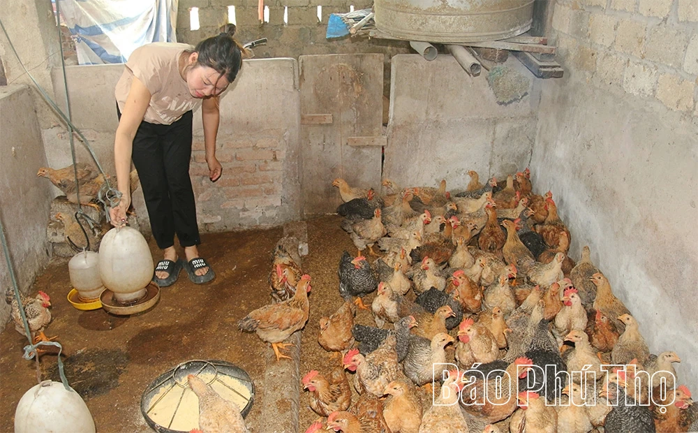 Phát triển du lịch gắn với giữ gìn bản sắc văn hóa Mường ở Lai Đồng