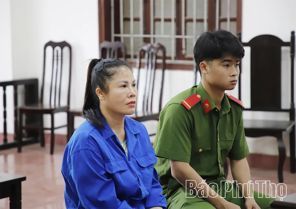 “Vẽ” dự án trồng sâm để lừa đảo tiền tỷ, nữ bị cáo trả giá bằng bản án hơn 12 năm tù