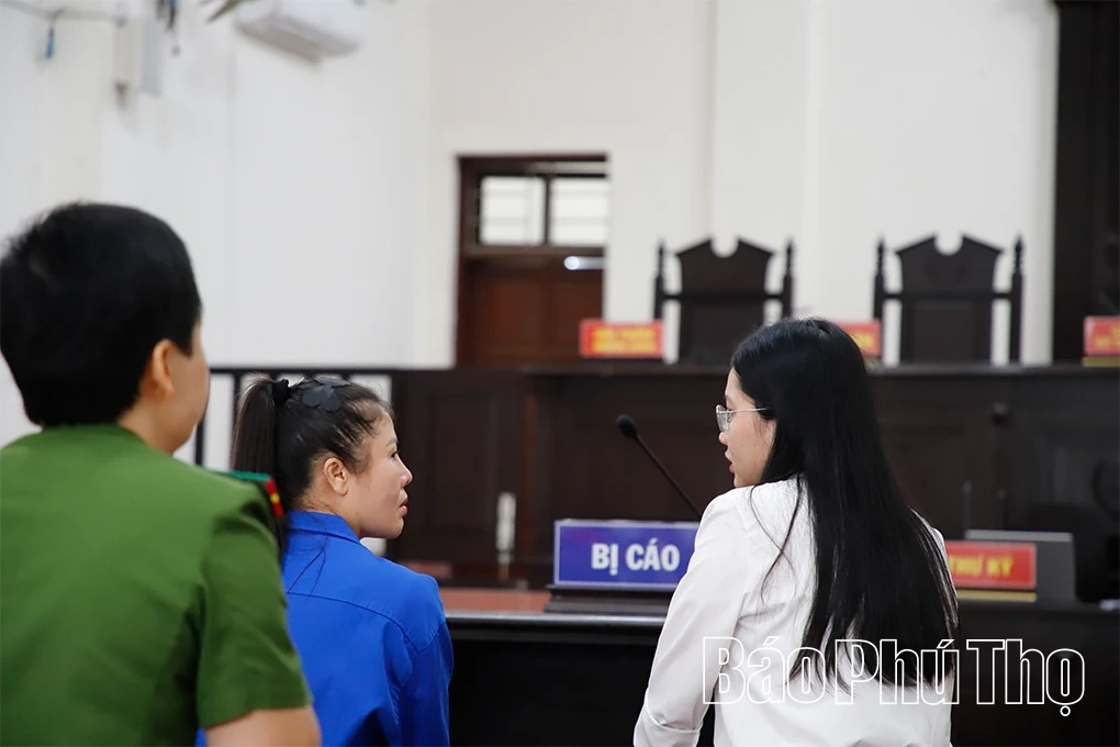 “Vẽ” dự án trồng sâm để lừa đảo tiền tỷ, nữ bị cáo trả giá bằng bản án hơn 12 năm tù