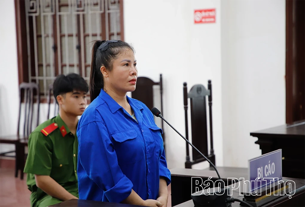 “Vẽ” dự án trồng sâm để lừa đảo tiền tỷ, nữ bị cáo trả giá bằng bản án hơn 12 năm tù
