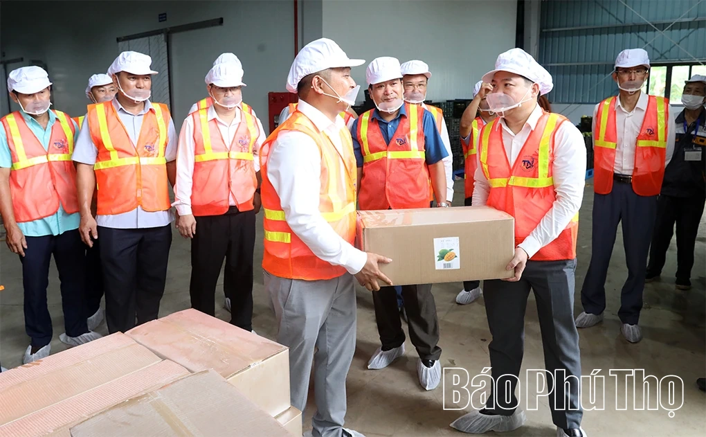 Khánh thành Nhà máy chế biến nông sản Tiến Ngân và xuất khẩu container hàng hóa đầu tiên