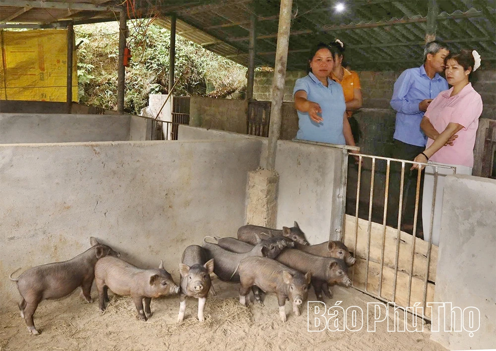 Điểm tựa cho phụ nữ thoát nghèo