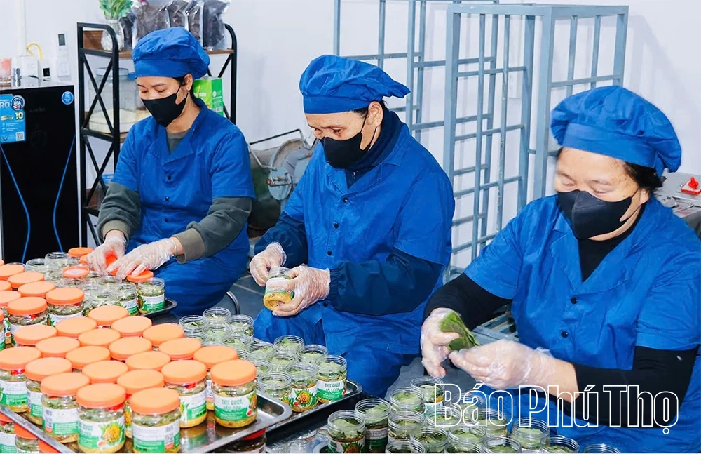 Tân Sơn tập trung phát triển các sản phẩm OCOP