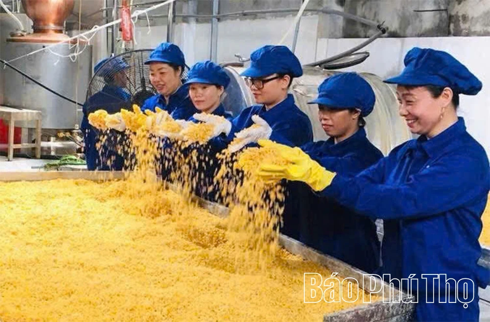 Tân Sơn tập trung phát triển các sản phẩm OCOP
