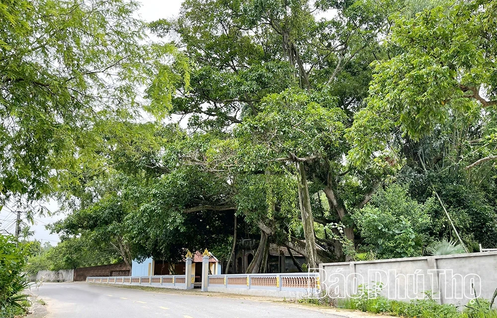 Độc đáo “làng nói phét”