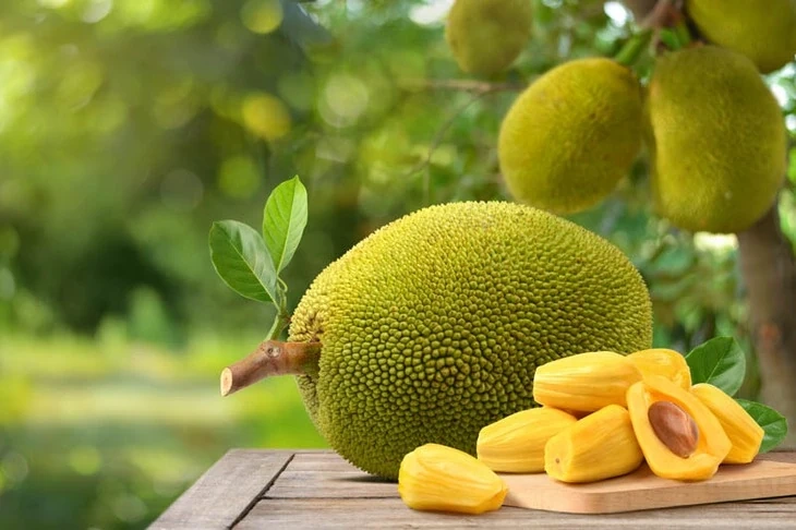 Quả mít: Thứ quả dân dã ăn được từ múi đến hạt