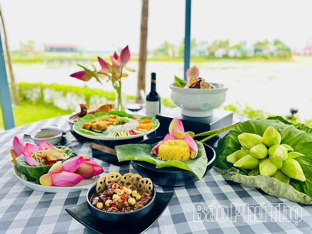 Summer Lotus Bloom – A Green Highlight in the Heart of Vuon Vua