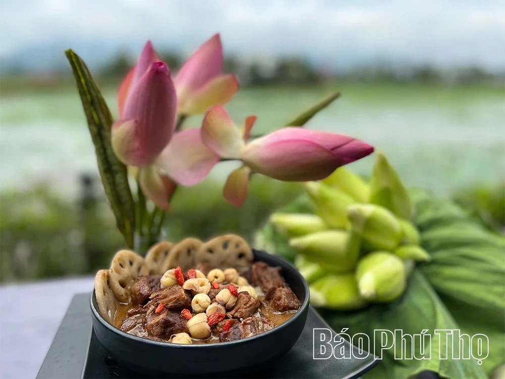 Summer Lotus Bloom – A Green Highlight in the Heart of Vuon Vua