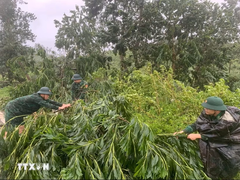 Thời tiết ngày 6/7: Bắc Bộ và Bắc Trung Bộ cục bộ có mưa to trên 100mm