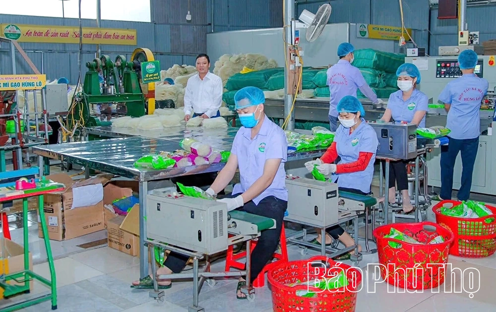 Nâng cao chất lượng sản phẩm OCOP gắn với bảo vệ môi trường