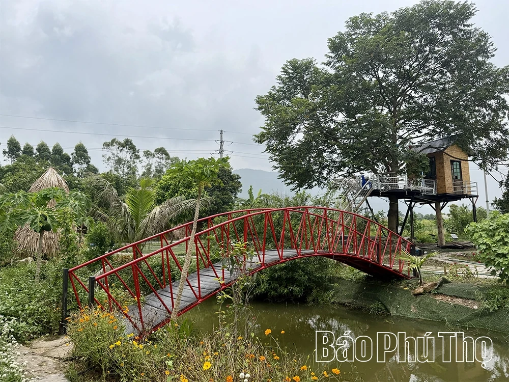 Gắn nông nghiệp tuần hoàn với du lịch trải nghiệm