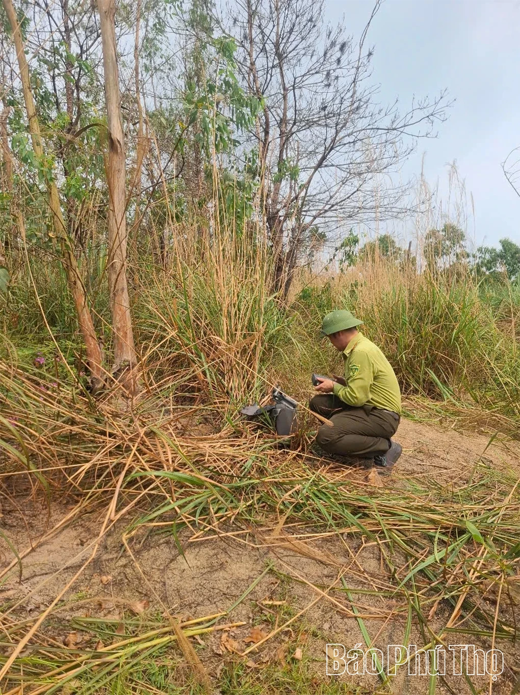 Hạt Kiểm lâm Tam Đảo - Tam Dương giữ màu xanh rừng