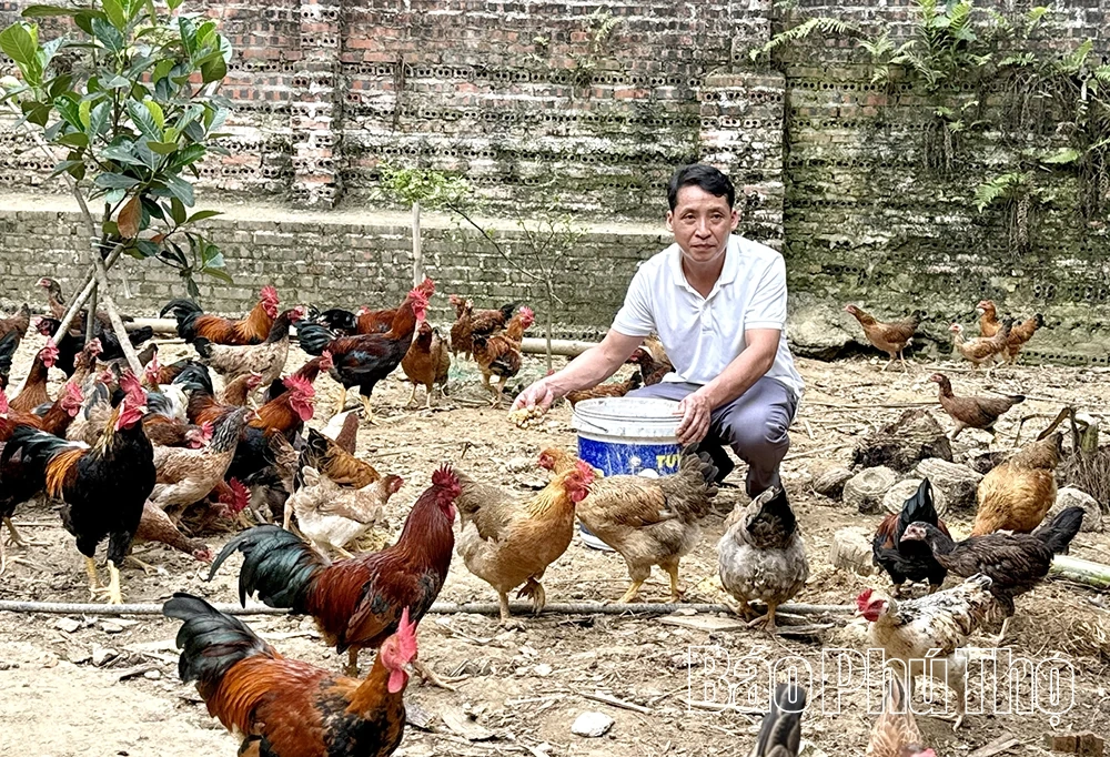 Kỳ 2 - Vì cộng đồng dân tộc thiểu số phát triển bền vững