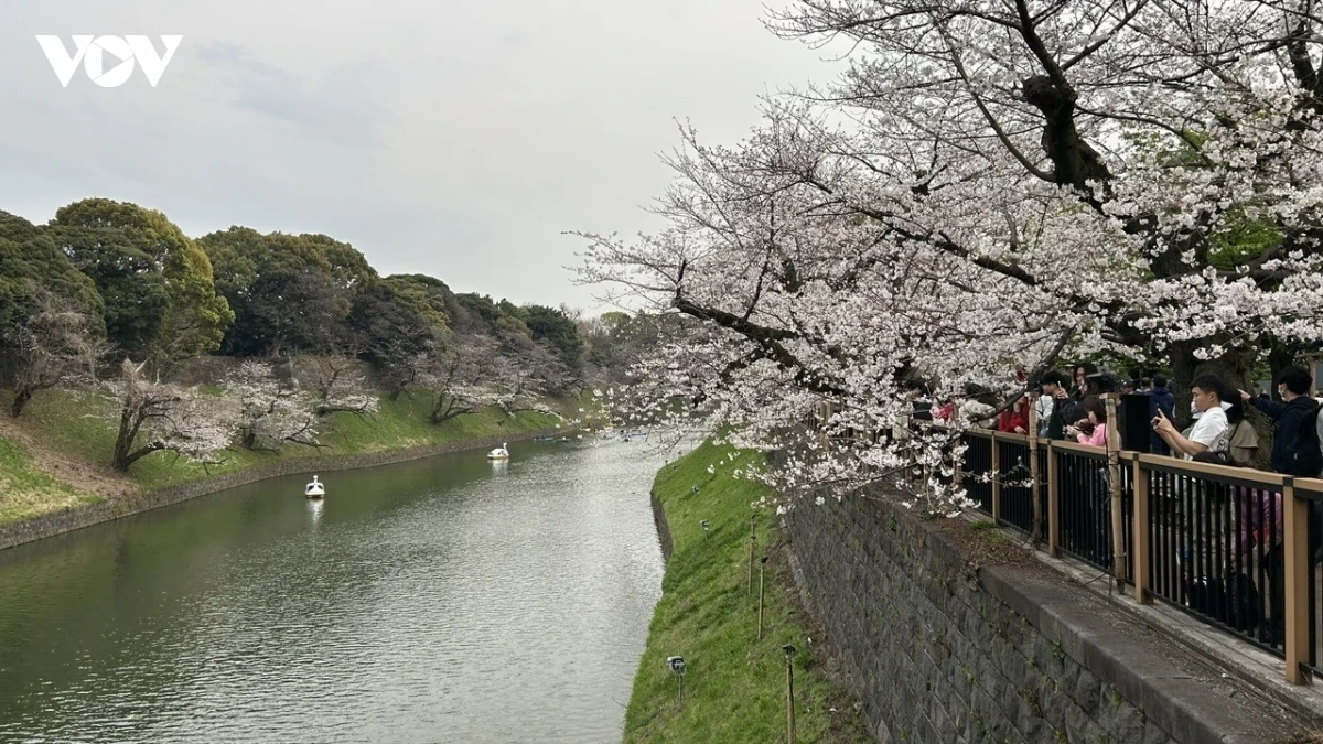 Thủ đô Tokyo của Nhật Bản tiếp tục là thỏi nam châm hút khách quốc tế