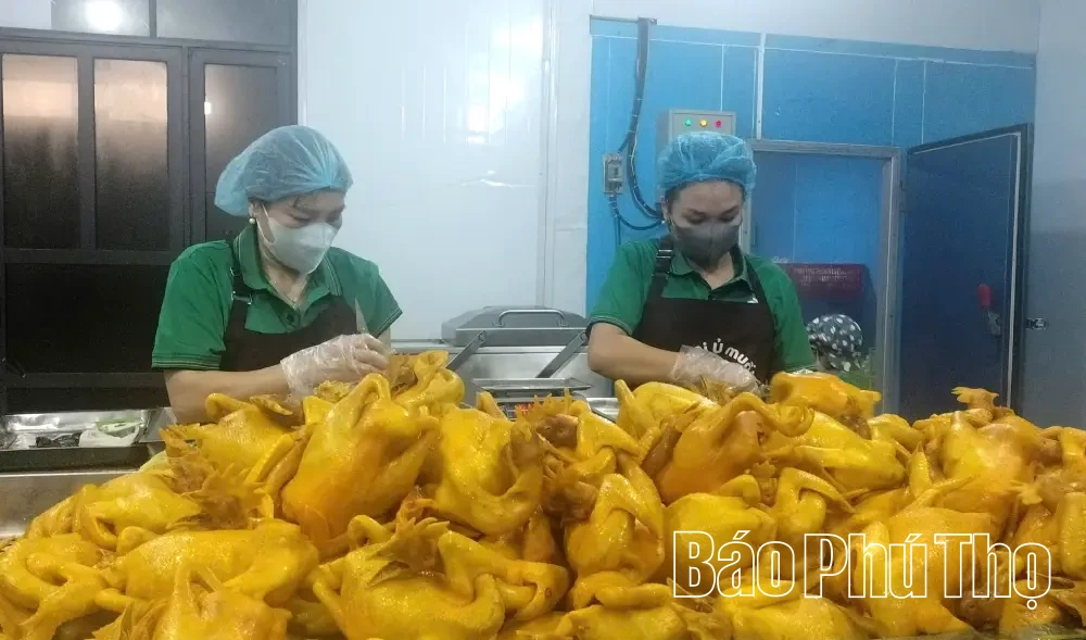 Phát triển kinh tế tập thể ở Minh Đài